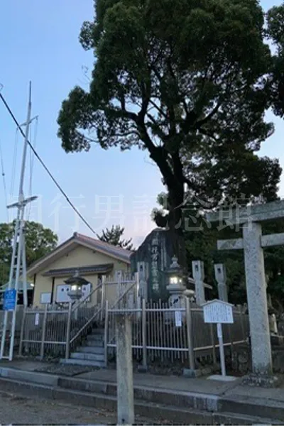 樹勢を誇り慰霊碑を護っていたご神木