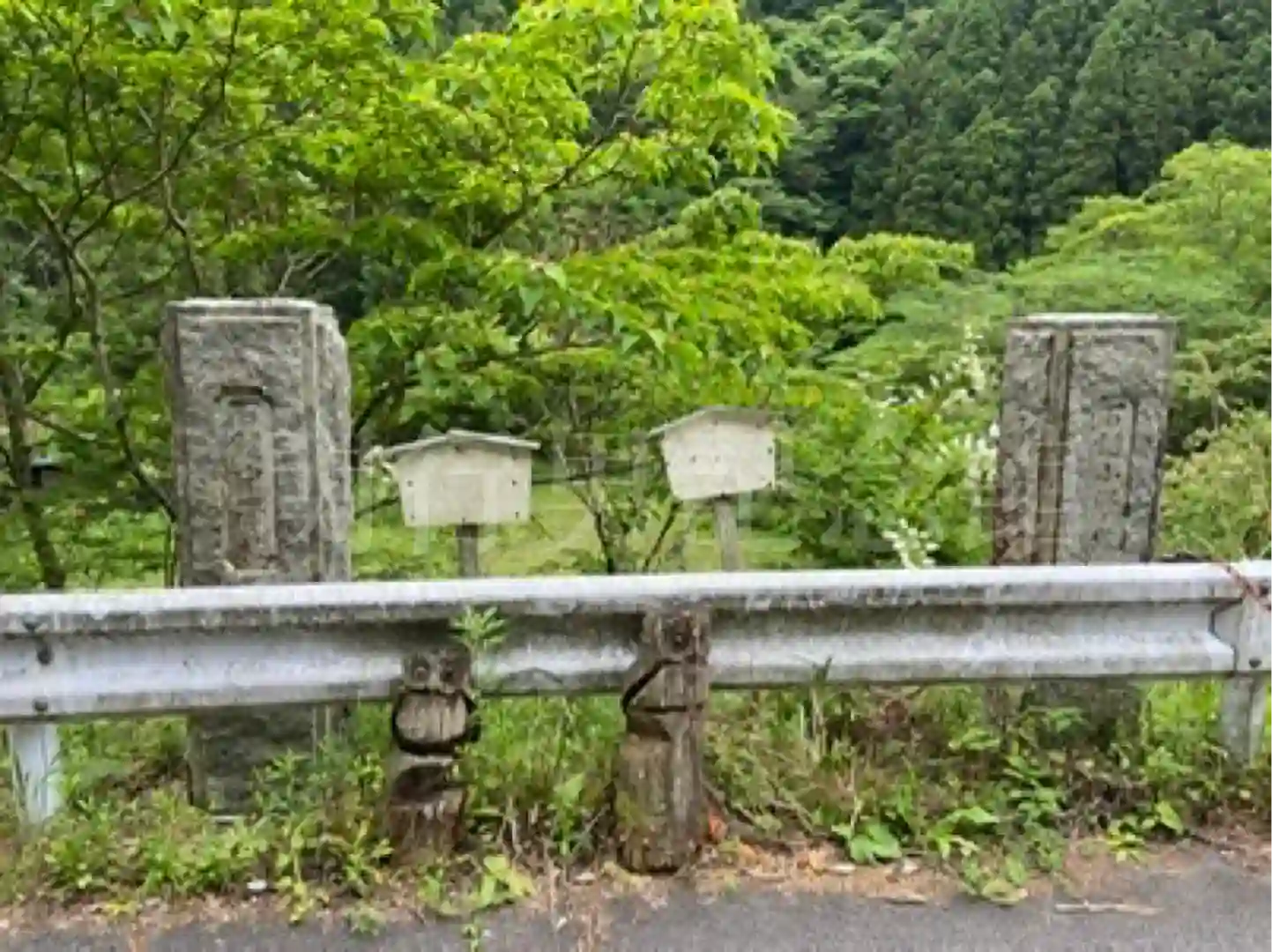 使われていない掲示板